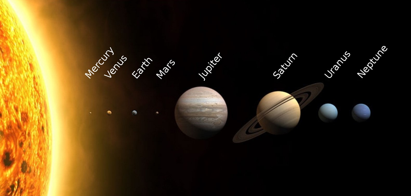 Significant exoplanet discovery Planets depicted in order of size and distance from the sun